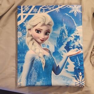 Frozen Themed Canvas Art
